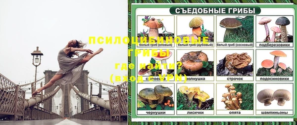 гашик Алексин