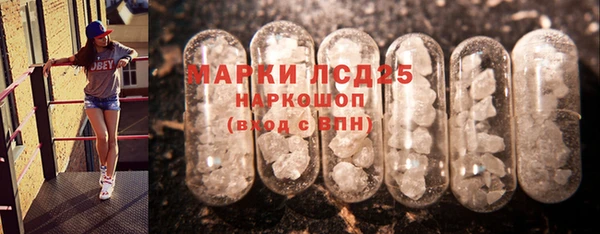 гашик Алексин