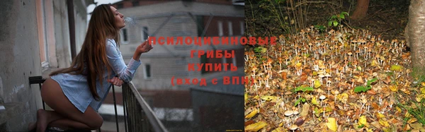 Альфа ПВП Алзамай