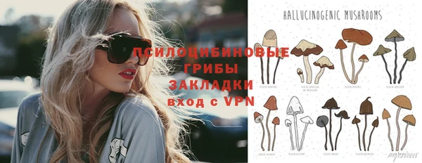 mdpv Куйбышев