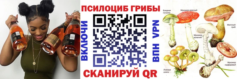 hydra ТОР  купить   Миасс  Псилоцибиновые грибы прущие грибы 